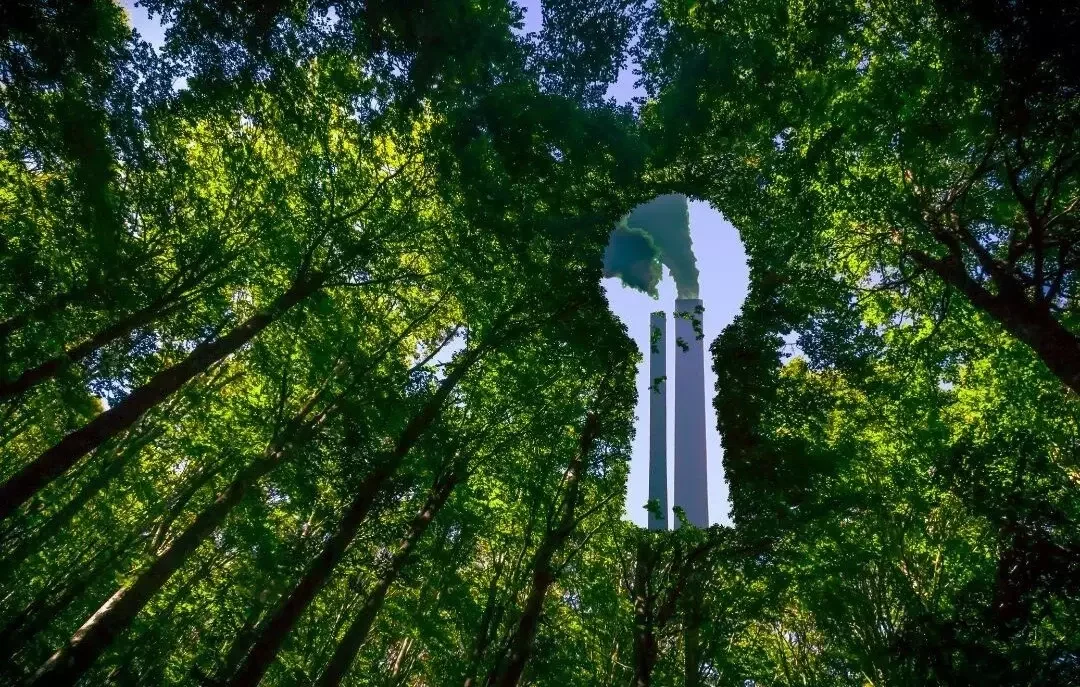 CSRD – der Weg zur Ehrlichkeit? Greenwashing, ESG-Skandale und die Rolle der neuen Richtlinie zur Nachhaltigkeitsberichterstattung